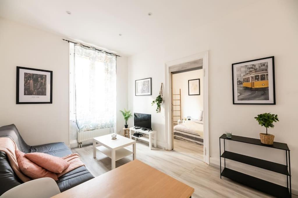 Appartement Entierement Renove Et Cosy Avec Jardin ミュルーズ エクステリア 写真